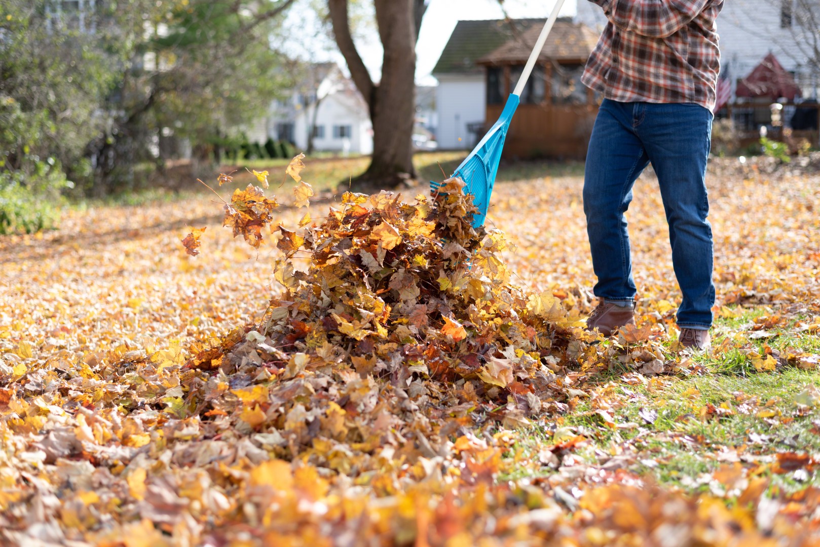 fall-is-here!-remember-to-abide-by-your-cooperatives-house-rules-and-regulations-(large).jpg